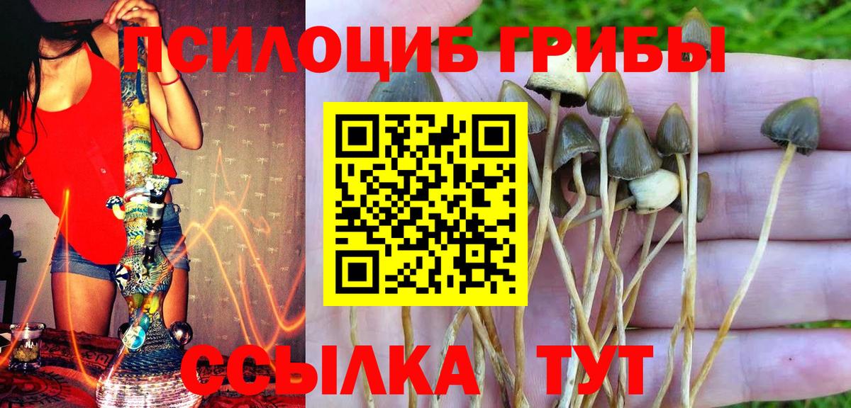 Псилоцибиновые грибы MAGIC MUSHROOMS  Вход с VPN  Галлюциногенные грибы Cubensis  Изобильный 